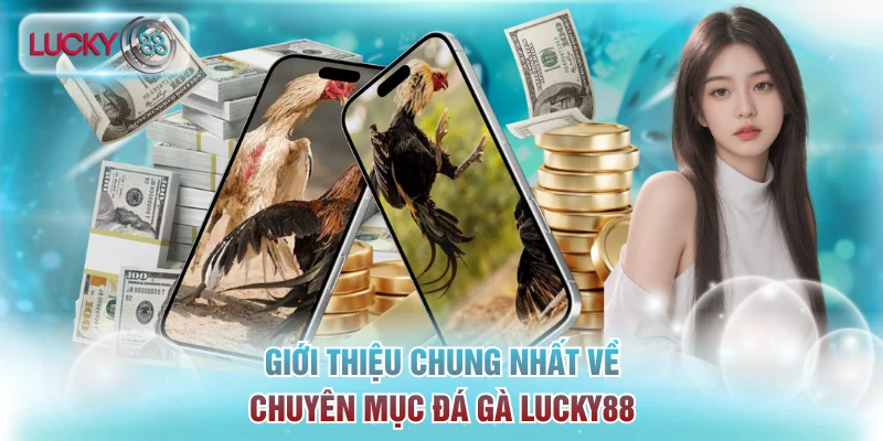 Giới thiệu chung nhất về chuyên mục đá gà Lucky88